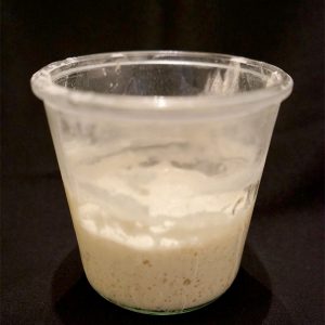 Sourdough Starter Recipe