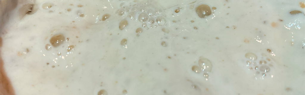 Sourdough Starter Recipe
