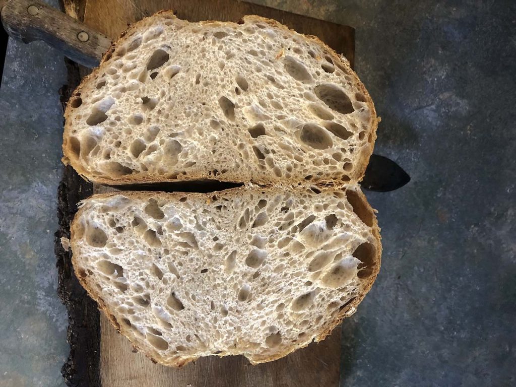 Sourdough September 2023